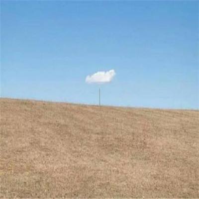 超级玛丽3D大卡车